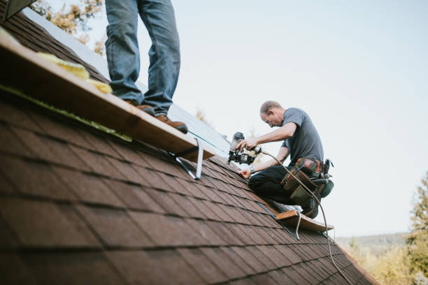 Roof Gutter Cleaning in Bridgeport, WA