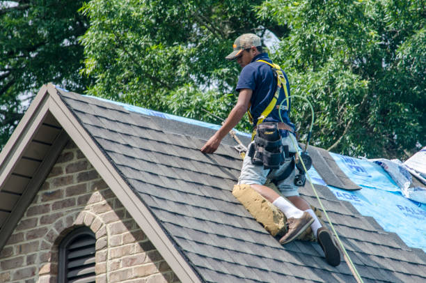 Roof Waterproofing Services in Bridgeport, WA